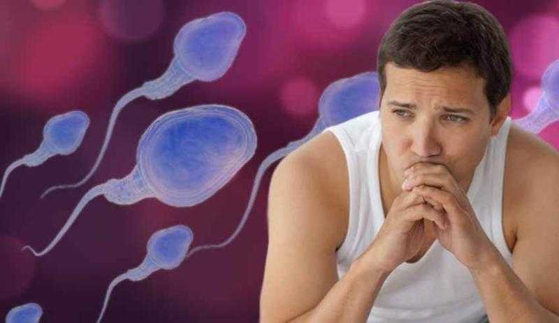 كيف تؤثر الأطعمة على مستويات هرمون الاستروجين في الجسم؟