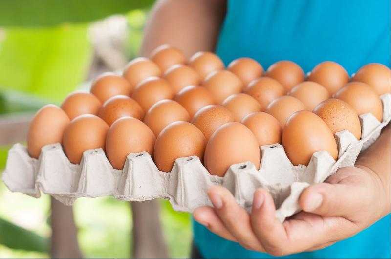 أسعار كرتونة البيض اليوم في الأسواق والمحلات