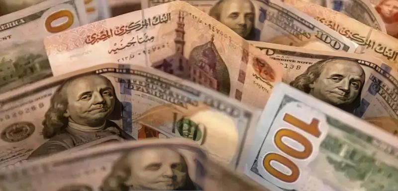 سعر الدولار مقابل الجنيه المصري اليوم
