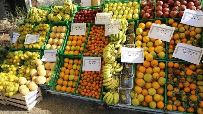 استقرار أسعار الخضروات والفاكهة في مصر