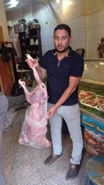 فضيحة مروعـ ـة في البحيرة.. محل شهير يبيع لحوم كلاب على أنها ضاني