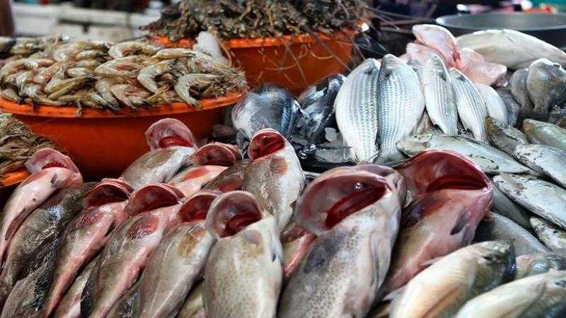 أسعار الأسماك في مصر اليوم